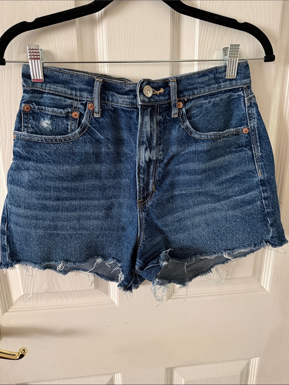 American Eagle Outfitters Distressed Dark Blue Denim Shorts